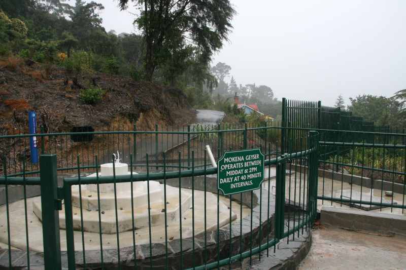 Nieuw-Zeeland 2011 - 0504